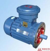 防爆電動機(jī)